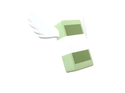 Cartoon Money With Wing V1 001 Low-poly 3D model
