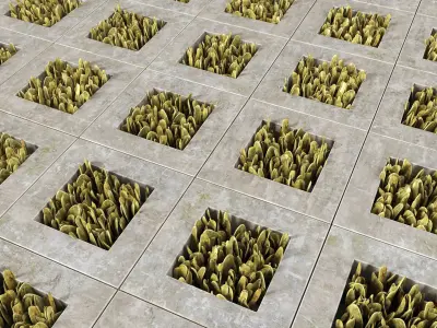 Eco-parking concrete floor with grasses 3D model