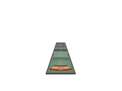 WELLPUTT Golf Putting Training Mat 3D model