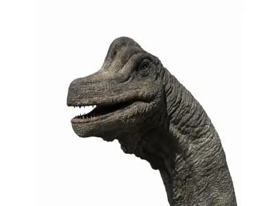  Brachiosaurus Rigged 3D 