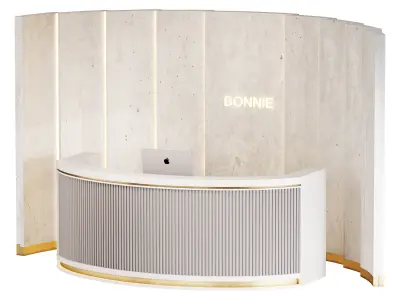 Contemporary Reception 18 3D model