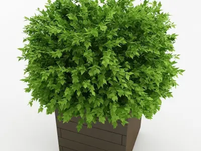 Planter Box 3D model