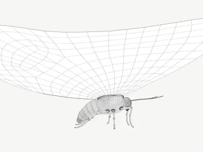 Madagascan Sunset Moth Low-poly 3D model