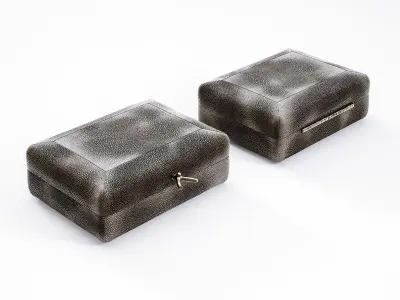 Carbon Shagreen Box 3D model