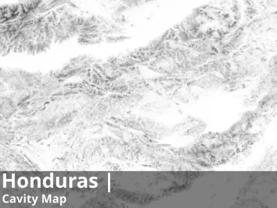 Honduras Occlusion Thickness Cavity Curvature Direct 8k Maps Texture