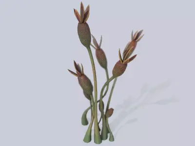 Extraterrestrial plant Low-poly 3D model