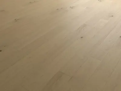 Wood Floor Set 32 Texture
