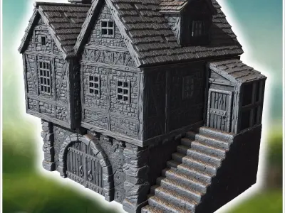 Elevated medieval house with stone steps wooden beams and large  3D print model