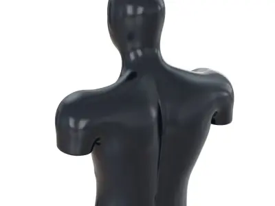 Male Sports Mannequin Torso for Outerwear 113 3D model