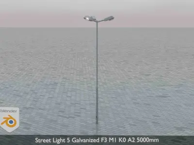 Street Light 5 Galvanized F3 M1 K0 A2 5000mm  Low-poly 3D model