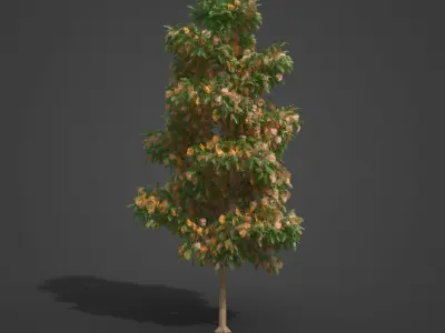2021 PBR Silky Oak Collection - Grevillea Robusta  3D model
