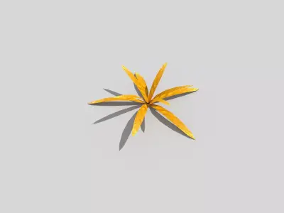 Low poly Plant golden leaf Low-poly 3D model