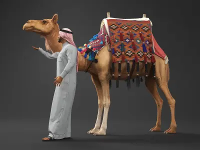  Arab Man with Camel in Cape Fur 