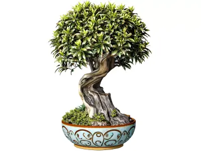 Decorative tree Bonsai plant Rustic flower vase urn flowerpot 3D model