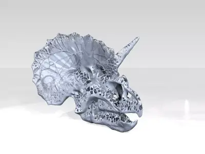 Triceratops Skull Dust Voronoi 3D model