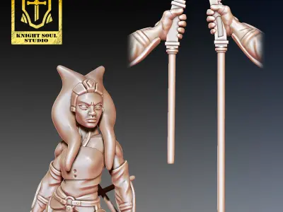 PACK KNIGHTS  3D print model