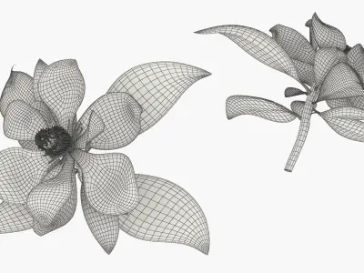  Yellow Flowering Plants Collection 4 