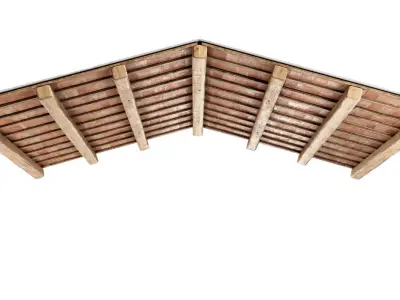 Gable wooden ceiling  3D model