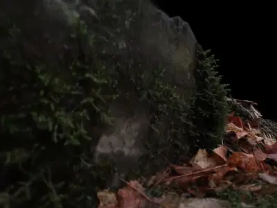 Mossy stone on the forest floor Free 3D model