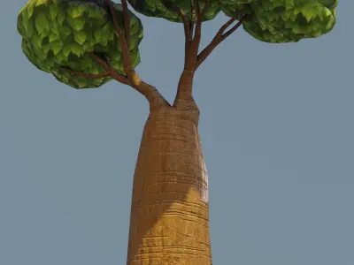 Cartoon Baobab Tree 3D Model Low-poly 3D model