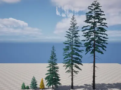 AB3D Plants - Volume 9 Firs for UE5 3D model