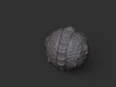 Sci-Fi Organic Brain Prop VFX Asset 3D model