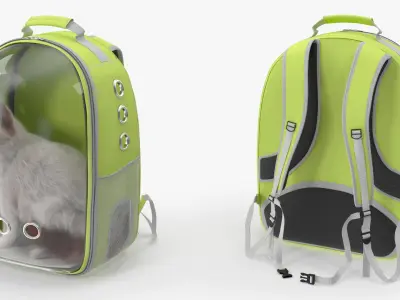  Longhaired Cat in Hard Shell Travel Backpack Fur for Cinema 4D 