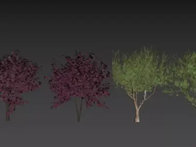 3D plant models 3D model