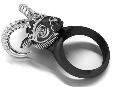 ram ring 3D print model