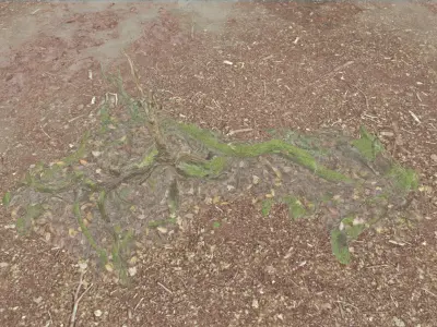 Forest Tree Root E 3D model