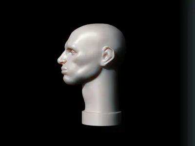 Male Head - John Asaro 3D model
