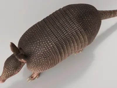  Armadillo Pink Walking Animated Rigged for Maya 