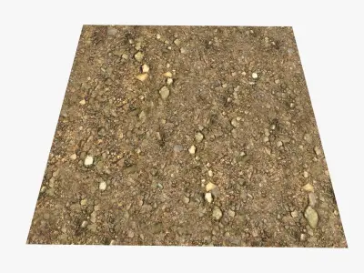 River Bottom Texture Texture