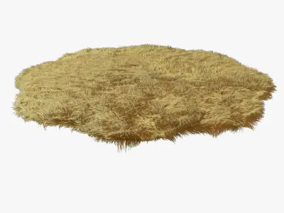 New Zealand sheepskin beige figure 3D model