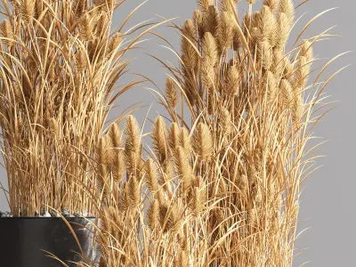 Indoor Plant Set 73 3D model