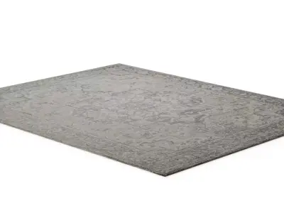 Shayla Hand Tufted Rug Low-poly 3D model