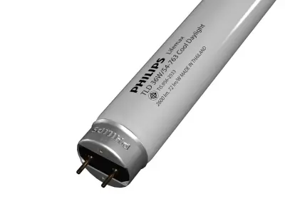 Light Bulb 5 3D model