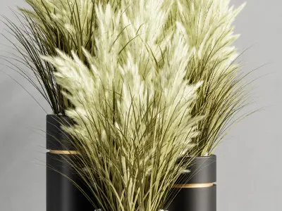 Indoor Plant Set 79 3D model