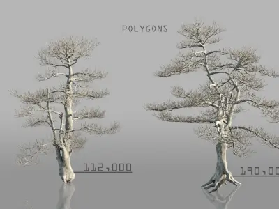Dead Trees Pack 3D model