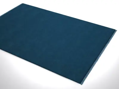 Punk Harvest Rectangular Rug 3D model