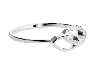 Ring - 137 3D print model