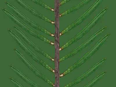 RoundAbout Road-American Road Low-poly 3D model