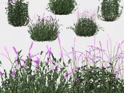5 Type of Out door Bush Set vol 3D model