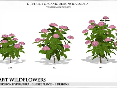 Low Polygon Hydrangeas for Games and Architectural Vis Low-poly 3D model