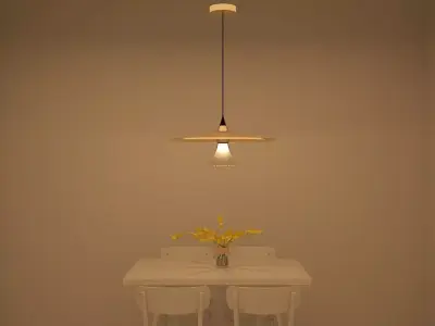 Lighting Pendant 3D model