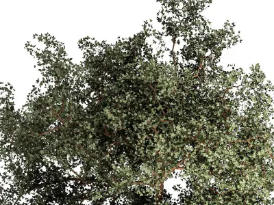 Tree and bushes with bench for outdoor environment 1146 3D model