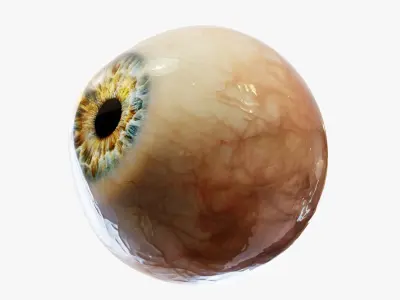  Human eye Photorealistic 
