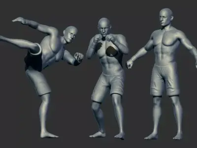 mma fighter multi poses 3d printable model 3D print model