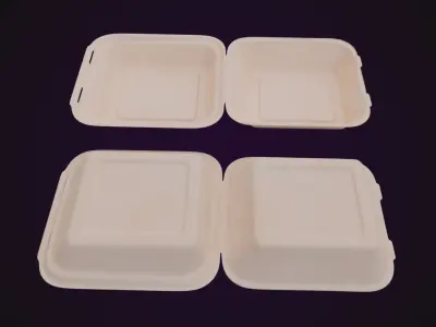 Cardboard paper - Disposable Container 3D model