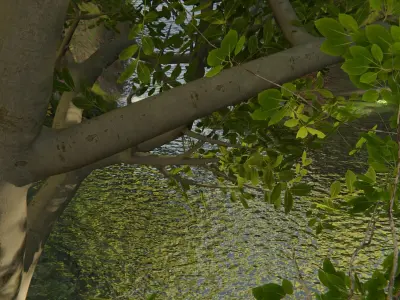 Make Forest V2 Geometry nodes Forest River and Path Generator 3D model